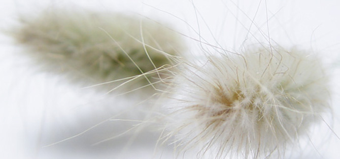 �T���v���摜